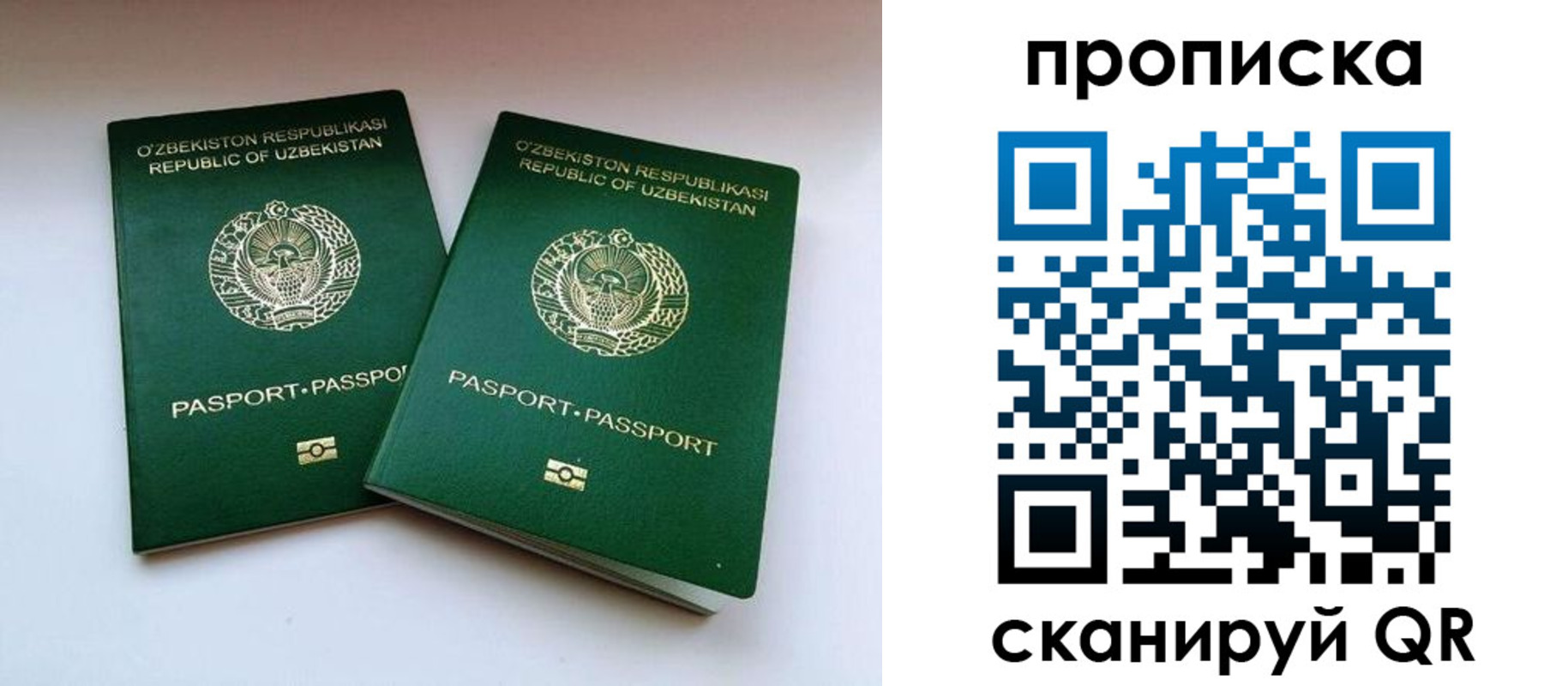 прописка поиск в Губкинском
